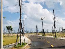 Hình ảnh Cần bán đất biển giá rẻ tại Nhơn Hội, Quy Nhơn. Giá 1tỷ3.