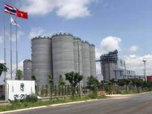 Hình ảnh Kẹt tiền bán lỗ nền đất 1600m2 gần kề Khu Công Nghiêp 196 Triệu