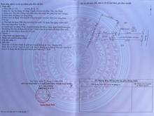 Hình ảnh kẹt tiền nên cần bán nhanh căn nhà mt ngay KCN Hiệp Thạnh,Gò dầu,430tr