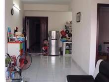 Hình ảnh Về quê nên bán gấp Trang Chủ MB66.COM / Đăng Ký Tặng 66K Sơn Kỳ 1,  Tân Phú 56m2 chỉ 1,160 tỷ
