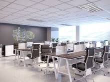 Hình ảnh Khổng Lồ! MT Trần Hưng Đạo, P. Cầu Kho, Q1 - DT: 12x38, 5 Tầng - 180Tỷ