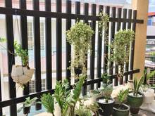 Hình ảnh [Hiếm] Bán nhà lô góc hẻm xe tải đường Cô Bắc, Phường 1, 52m2, 4 tầng