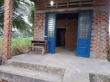 Hình ảnh Nhà Ấp An Thới, xã An Tịnh, Huyện Trảng Bàng