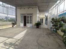 Hình ảnh Bán Nhà Siêu Rộng 3PN DT 8x40m tc100m2 Sau Chợ Phú Hội Đức Trọng