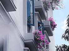 Hình ảnh Hoa Mộc Lan bên ô cửa         .