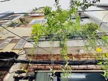 Hình ảnh 🏠 Cô Giang - Quận 1 - Gần Phố đi bộ Bùi Viện.  🚗 Hẻm 10m thông thoán