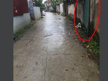 Hình ảnh cần bán mảnh đất thổ cư 300m2 ,tại Phương Nhị Hồng Dương Thanh Oai