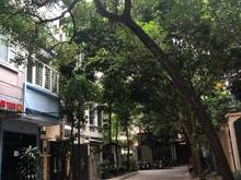 Hình ảnh Cho thuê nhà trong ngõ Nguyễn Thị định, Trung Hòa, Cầu Giấy,Hà Nội