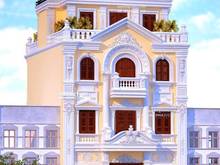 Hình ảnh bán nhà xuân đỉnh tòa lâu đài xa hoa lộng lẫy 198m 5t chỉ 36,999 tỷ.