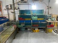 Hình ảnh Cho thuê nhà mặt tiền đường Đặng Thuỳ Trâm, 2 PN. Giá chỉ 18tr/tháng