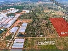 Hình ảnh 2ha trong khu Farm Văn minh - Sổ đẹp như tranh - Đường hiện hữu