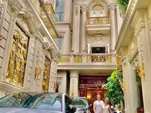 Hình ảnh Cho Thuê Biệt Thự Sân Vườn 8X20 Mặt Tiền Đường Hoa Sữa Đối Diện Trường