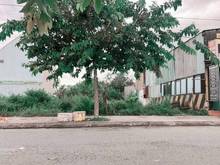 Hình ảnh Ngân hàng thanh lý lô đất đường Phước Thiện, Quận 9, 85m²/2tỷ2. SHR