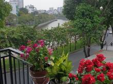 Hình ảnh Mb6623 nạp rút nhanh chóng Studio sang trọng ngay ngã Phú Nhuận, ban công view Sông