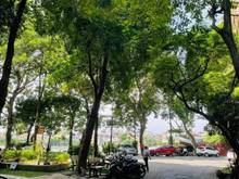 Hình ảnh Bán đất phân lô ô tô tránh tại Khu đô thị Định Công, 58m2, 9.5 tỷ.