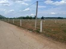 Hình ảnh Phú Yên 500m2 ven TP Tuy Hòa Giá Mềm