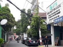 Hình ảnh Biệt thự 2 mặt tiền HXH, HOÀNG DIỆU, 4 tầng, PHÚ NHUẬN, nhỉnh14 tỷ.