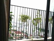 Hình ảnh SANG TÊN GẤP nhà XLHN,Q9,53m2,1t2l,3pn,3nvs,1ty632,sổ riêng,hẻm xe hơi