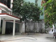 Hình ảnh Cho thuê biệt thự 20x20 DTSD 600m2 mt Tản Viên Phường 2 Quận Tân Bình