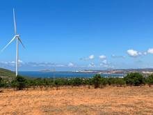 Hình ảnh Hơn 4sào3 Đồi cao View TỨ HƯỚNG  - Đường sỏi trước đất - Gía tốt
