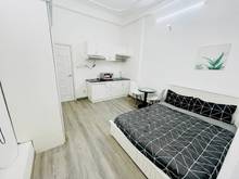 Hình ảnh ChoThuêCănHộTạiQ1_New_AStot30m2_FullNT_AnNinh_YênTĩnh_GầnChợ_HầmXe