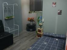 Hình ảnh Chính chủ cho thuê phòng tại 15B Lê Thánh Tôn, Bến Nghé, Quận 1