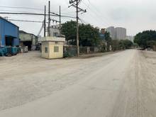 Hình ảnh Chính chủ cho thuê đất mặt bằng - kho xưởng vào ngay trong tháng 7