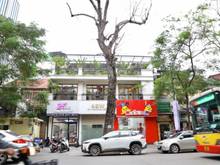 Hình ảnh Cho thuê cửa hàng phố Lý Thường Kiệt 56m x 4 tầng, mt 6m, giá 50tr/thá