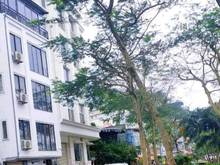 Hình ảnh hàng độc ! nhà view hồ tây vỉ hè oto tránh kinh doanh 135m hơn 40tỷ 4t
