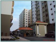 Hình ảnh Cần cho thuê gấp Trang Chủ MB66.COM / Đăng Ký Tặng 66K Him Lam Nam Khánh Quận 8, Dt : 83m2, 2PN,