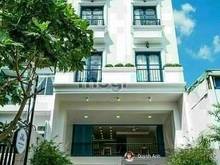 Hình ảnh Building MT Trương Định, P. VTS, Q.3 - 5x25m - Hầm 7 Lầu - HĐ 230Tr/th
