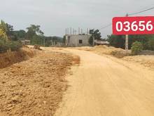 Hình ảnh Đất nền phân lô Triệu Sơn    Dt: 180m - 200m2