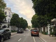 Hình ảnh Giá rẻ Không tưởng Cần Tiền Chủ bán gấp căn biệt Thự Vinhomes Riversid