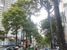 Hình ảnh Bán Building Nhà Mặt Tiền Lý Thường Kiệt - Quận 5
