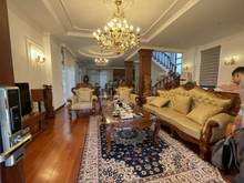 Hình ảnh Cho thuê gấp biệt thự Thạch Thảo, 50tr, 600m2. nội thất cao cấp