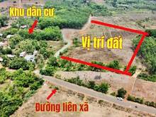 Hình ảnh hơn 1000m2 chỉ 290tr chính chủ sổ sẵn công chứng ngay