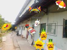 Hình ảnh Bán đất Đào Sư Tích, Nhà Bè 320m nhỉnh 4 triệu/1m