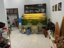 Hình ảnh Siêu Phẩm Nhỉnh 2 Tỷ 5X8M-Nhà Còn Mới- Ngay Siêu Thị Aeon Mail Tân Phú