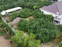 Hình ảnh 🔺 Bán khu Biệt Thự vườn Bưởi nghỉ dưỡng 2200m2 mặt tiền sông Tân Bình