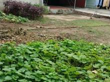 Hình ảnh Bán đất FULL thổ cư Tráng Việt, Mê Linh, Hà Nội