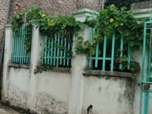 Hình ảnh Bán đất FULL thổ cư xã Tráng Việt, Mê Linh, Hà Nội