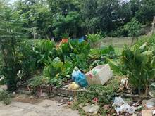 Hình ảnh Bán đất FULL thổ cư Tráng Việt, Mê Linh, Hà Nội