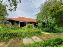 Hình ảnh Bán Nhà vườn gỗ xưa 1223m2 hòa hợp thiên nhiên đường Vườn Lài, Quận 12