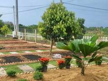Hình ảnh Bán Đất Vườn Trái Cây, Sổ Sẵn, 1000m2, Gần Quốc Lộ 20, Định Quán