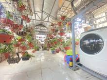 Hình ảnh CẦN TIỀN BÁN GẤP 💥NGUYỄN VĂN CỪ 💥65m ,3 tầng 6 tỷ lh 097329565