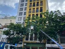 Hình ảnh Cho Thuê nhà 40-42 Phan Bội Châu, P. Bến Thành Q. 1