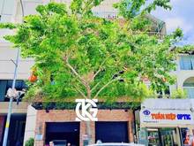 Hình ảnh Cho Thuê Nhà Mặt Tiền 75-77 Nguyễn Huệ, Quận 1