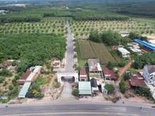 Hình ảnh Đưa Tôi đúng 200tr Tôi bán Chon bạn Chánh Phú Hoà Bình Dương 350m