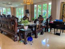 Hình ảnh Cho thuê villa Sala Saroma Đại Quang Minh, DT đất 370m2, 1 hầm + 4 lầu