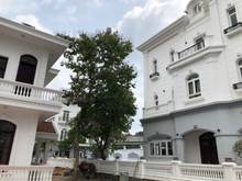 Hình ảnh Cho thuê Biệt thự HỒ bƠI Đ.Nguyễn Ư Dĩ - Thảo Điền 600m2 -115tr